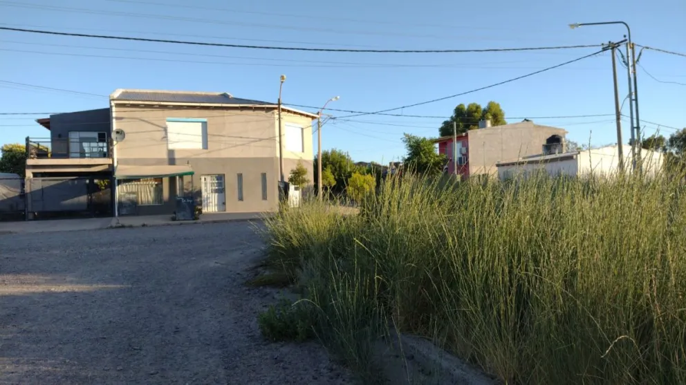 Un terreno baldío sin mantenimiento genera un verdadero caos en un barrio de Viedma