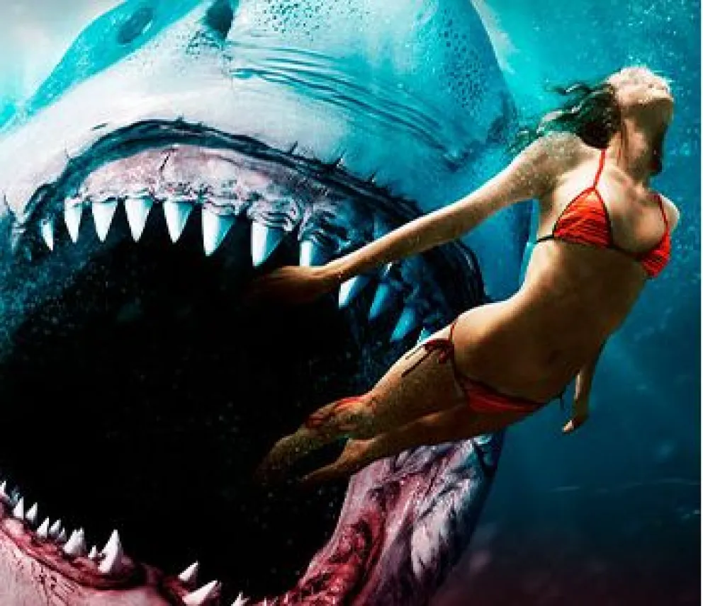 Hoja de ruta durante el “finde” en la Comarca Viedma-Patagones