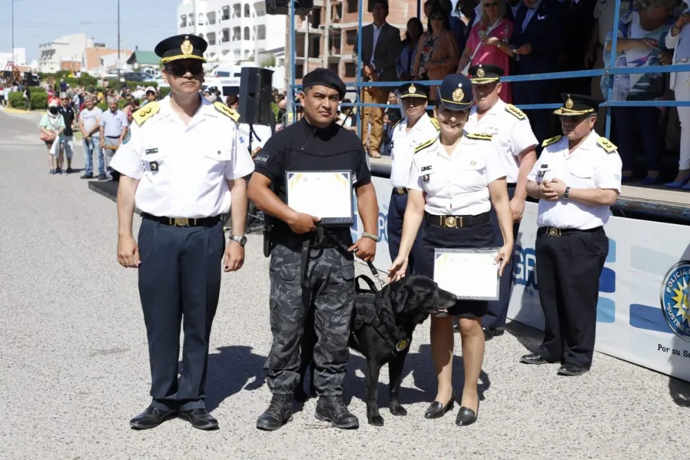 Dos perros expertos en detectar drogas colgaron los guantes 