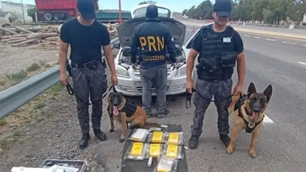 Gracias a un perro la policía decomisó 7 kilos de cocaína en un control de rutina