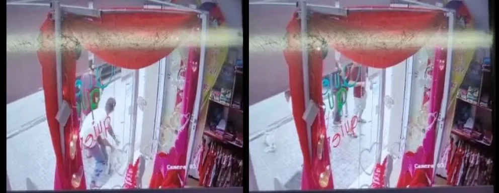 Un loco revoleó a un caniche por los aires y le provocó varias fracturas