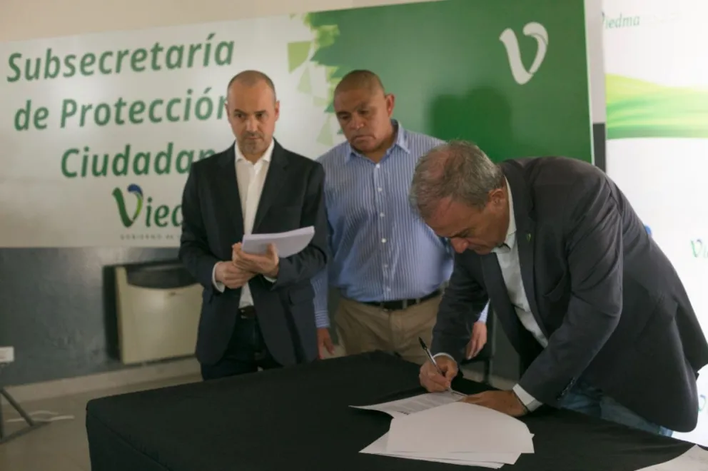 ¿A qué apunta el convenio para la castración masiva de animales domésticos?