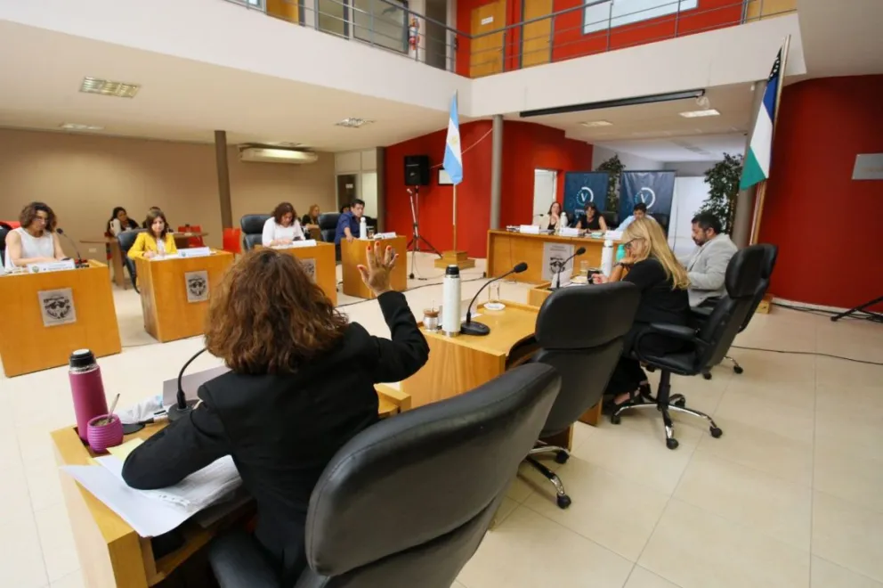 Concejales de Viedma dieron luz verde a la nueva Ordenanza tarifaria