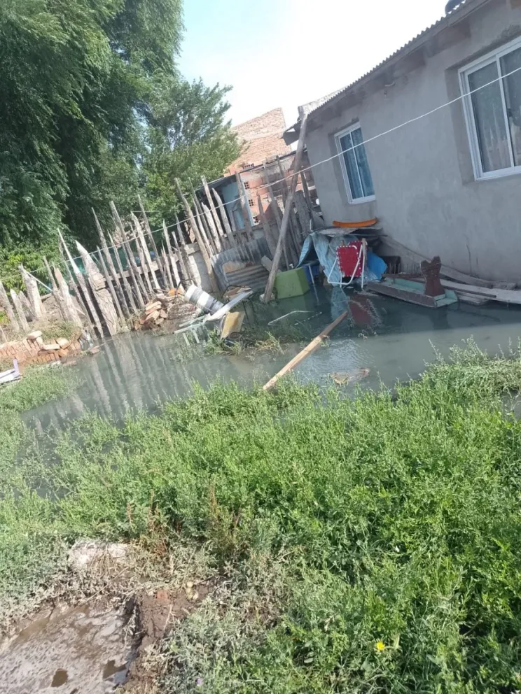 Viedma: “Estamos viviendo con la mierda adentro de la casa”