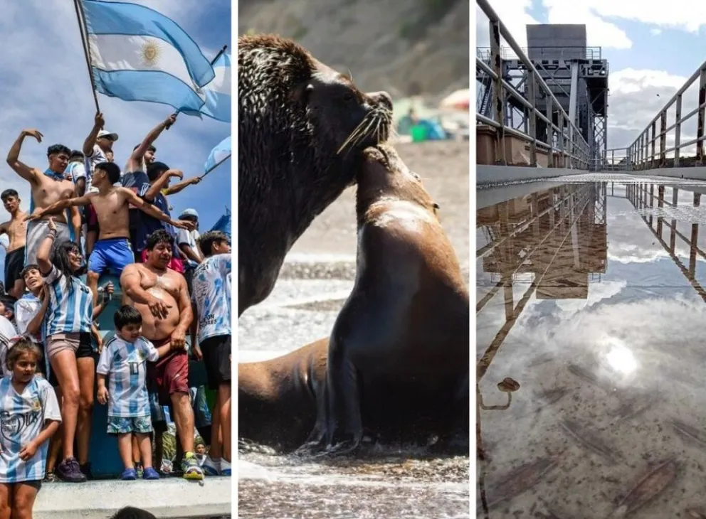 Imágenes que cuentan historias: el repaso en fotos de 2022 en Viedma 