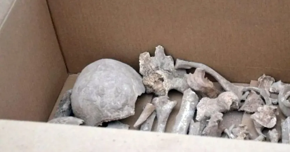 Una caja con un cráneo se cayó de un camión de basura frente a una dependencia policial