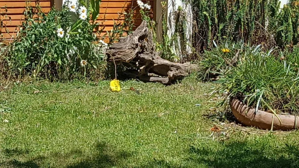 Los asaltantes de la entradera hicieron una inédita inteligencia previa