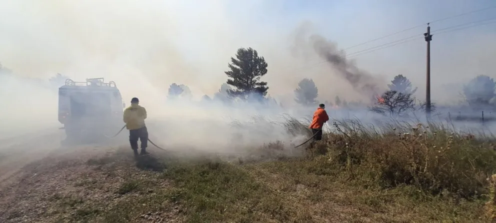 La llovizna terminó de aplacar las cenizas en el incendio de campos