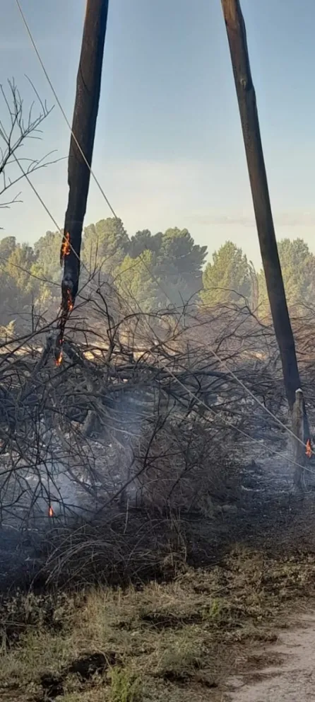 Se agravó el incendio en los campos de la Ex Ruta 3