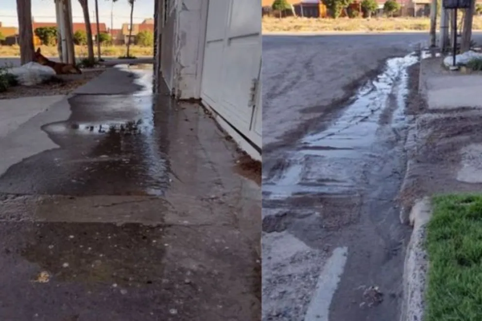 Ni el Procurador General  de Río Negro se salva de los robos de medidores de agua