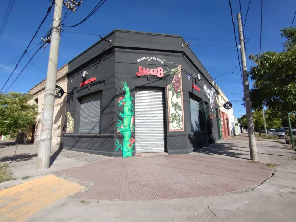 Los ladrones siguen atacando en el barrio Mitre