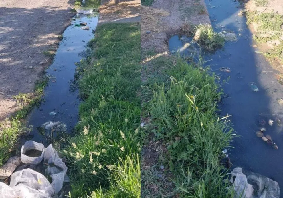 Grave denuncia de vecinos del IPPV contra el DPA: “Toman represalias por quejarte”