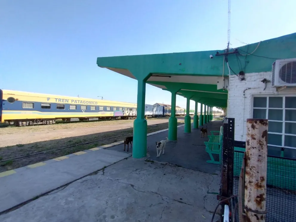 Los ladrones de cobre están a "full" y Tren Patagónico volvió a caer en sus garras