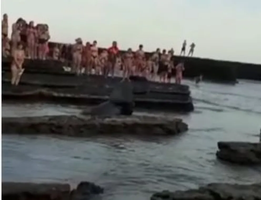 Indignación en la Lobería: un amplio grupo de personas volvió a molestar a un lobo marino