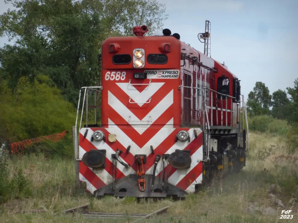 Prometen que el Tren Patagónico volverá a prestar servicios con normalidad