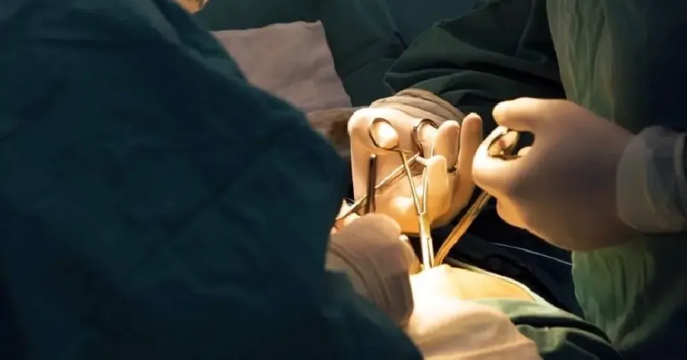 En lo que va del año se realizaron cinco operativos de donación de órganos 