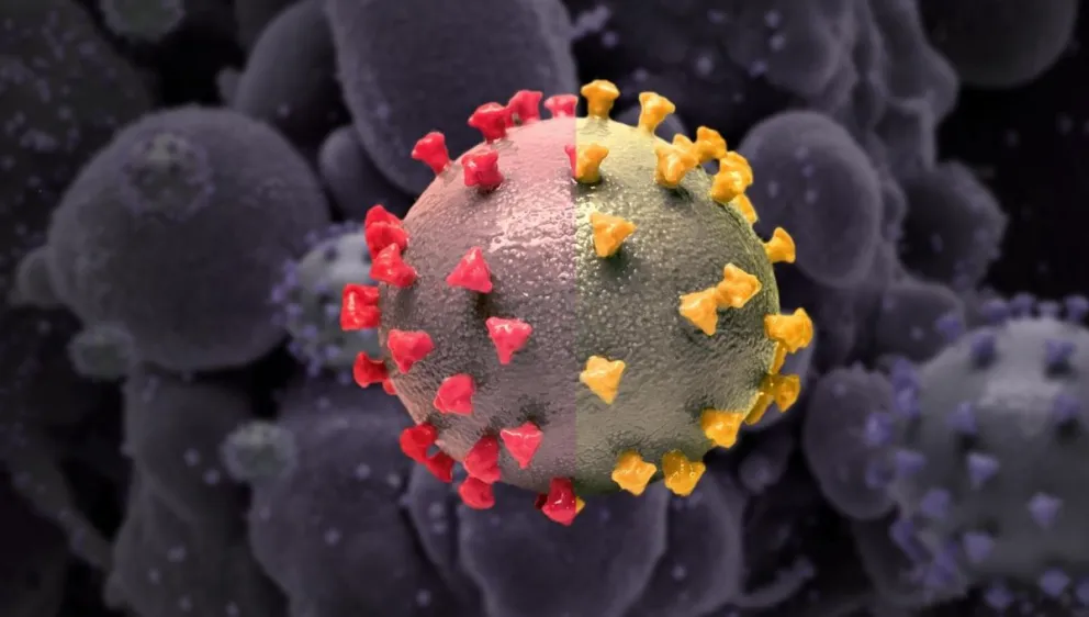 COVID: la subvariante "Perro del Infierno" es responsable de casi la mitad de los casos en Argentina