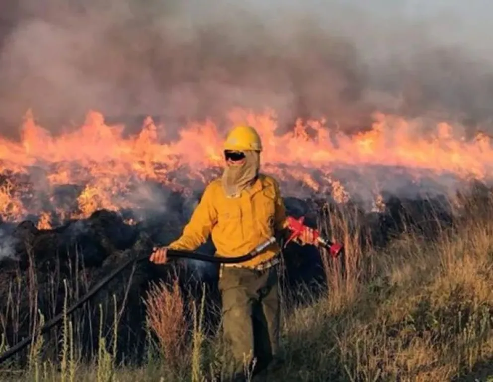 Otra vez fuego y humo: siguen los incendios en la provincia de Río Negro