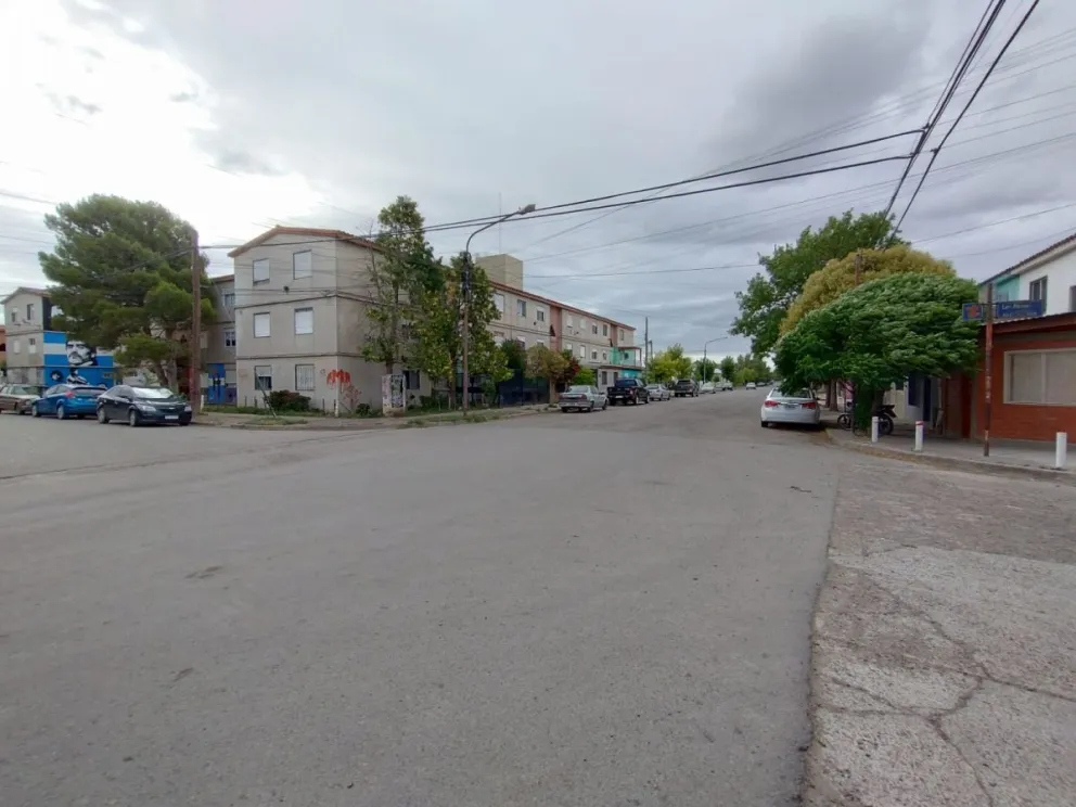 Los loros barranqueros se convirtieron en unos vecinos más en los barrios de Viedma