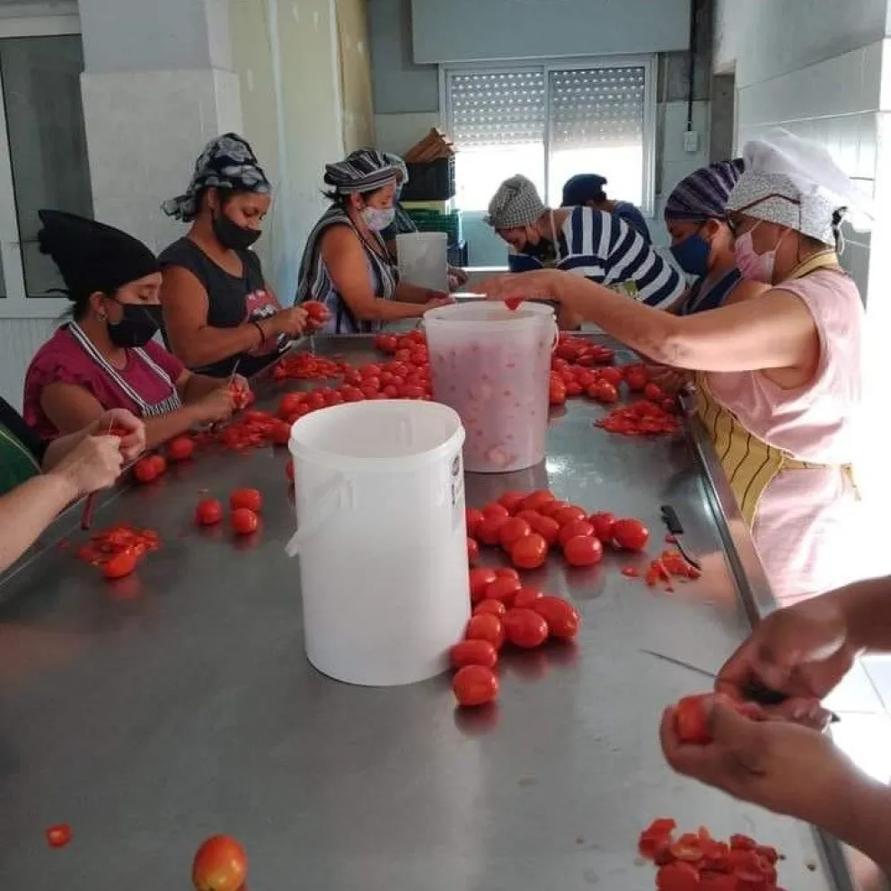 La planta Almería y el desafío cotidiano de elaborar alimentos a pequeña escala
