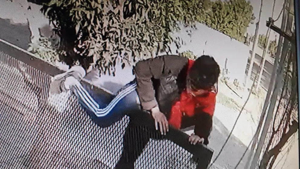 Así roban y provocan actos de vandalismo en barrios de Viedma: mirá las imágenes