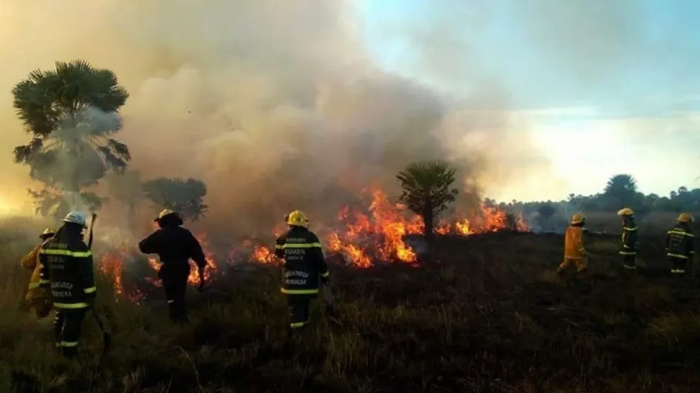El Gobierno creó una Unidad de Análisis y Prevención de Delitos Ambientales