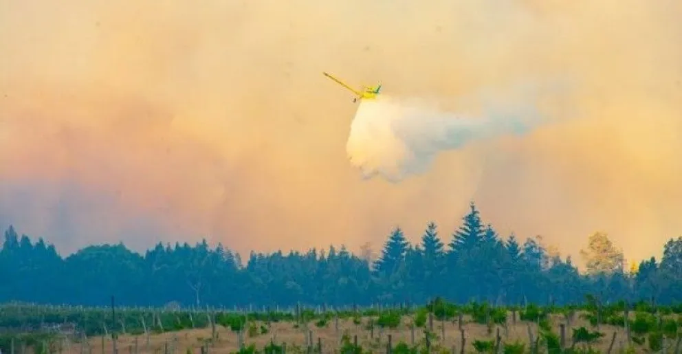 La RAM se adjudica el inicio del voraz incendio en El Hoyo