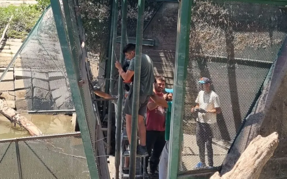 Arreglan el canasto de Ayacucho y piensan en modificaciones de refuerzo