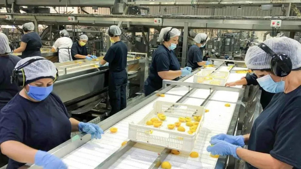 Potenciar Trabajo: qué pasa si te dan de baja y cómo volver a solicitar el beneficio