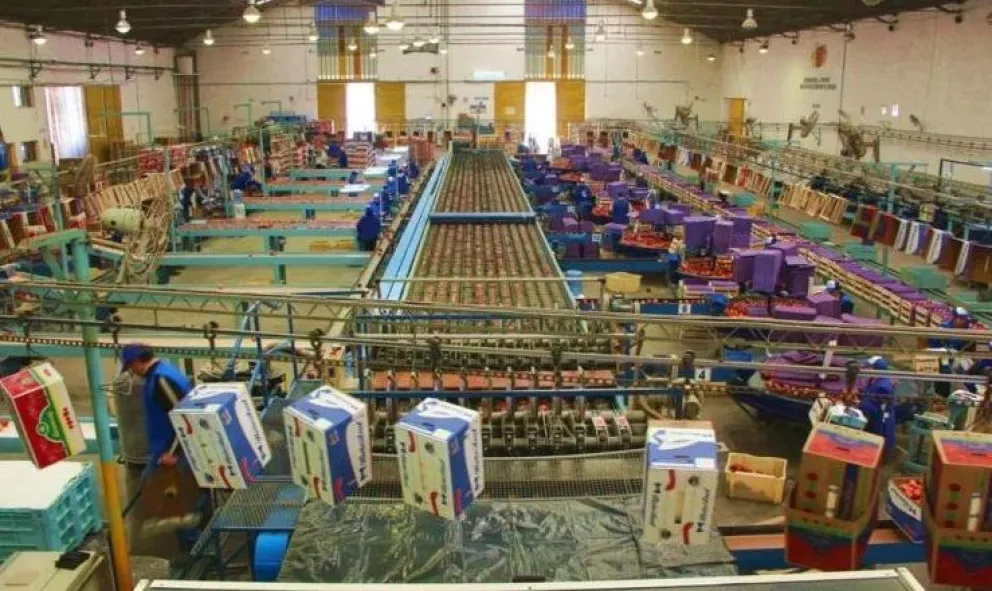 Tensión por la falta de acuerdo en las paritarias de la fruta