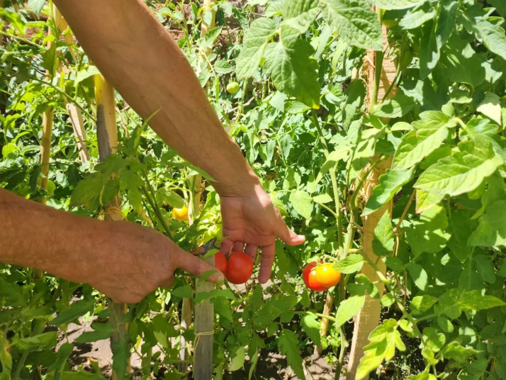 Un espacio clave de transformación social y que contribuye a combatir el hambre