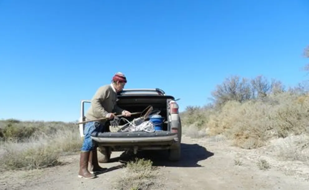 Almejas chinas están presentes en los canales de riego  del valle de Viedma