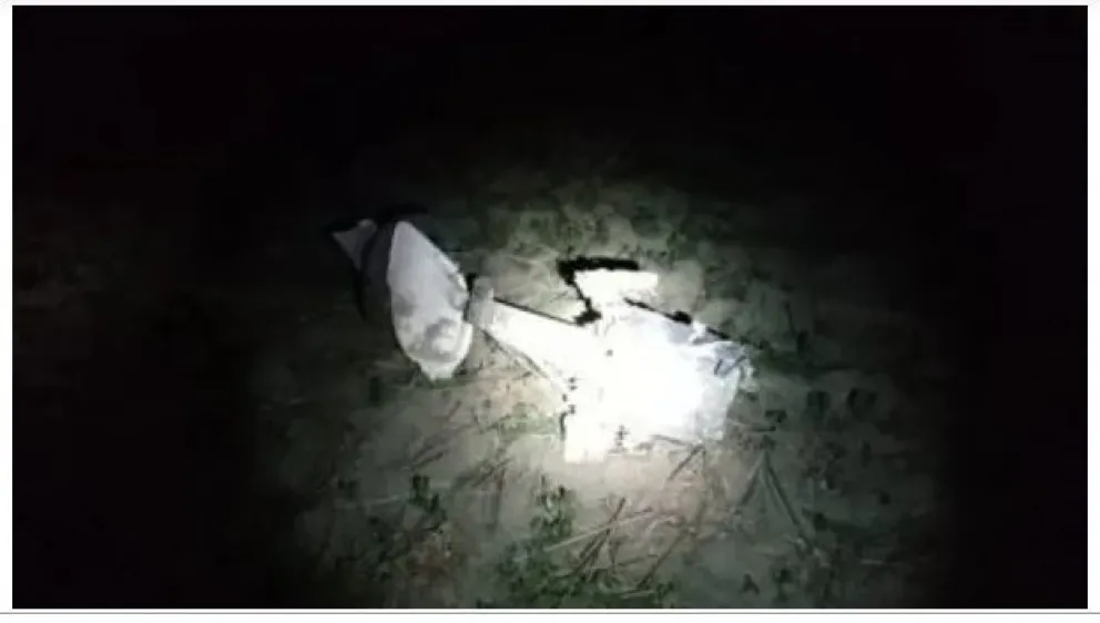 Tragedia: cinco personas robaron una avioneta, se estrellaron y murieron 