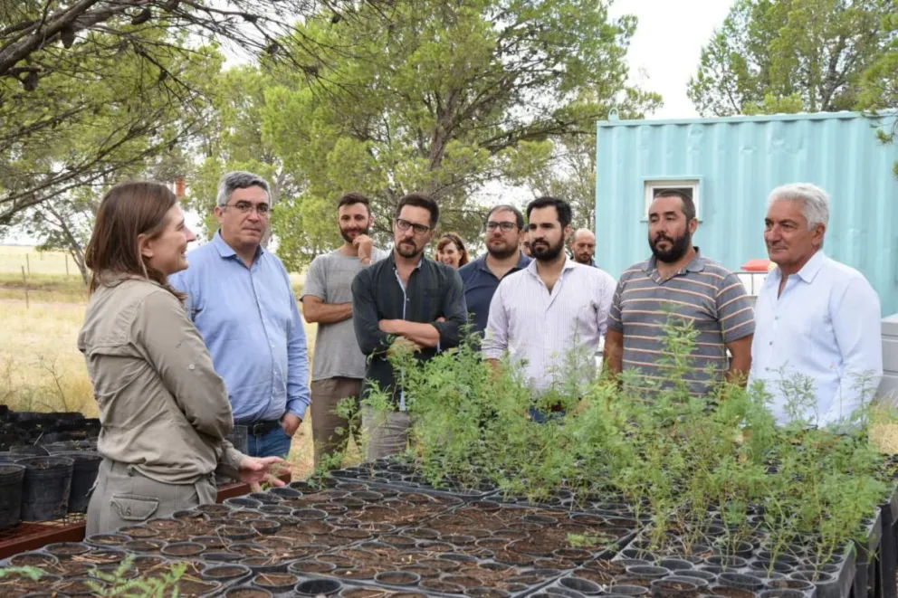 Presentaron los beneficios del Plan LanAr a productores ovinos de Patagones 