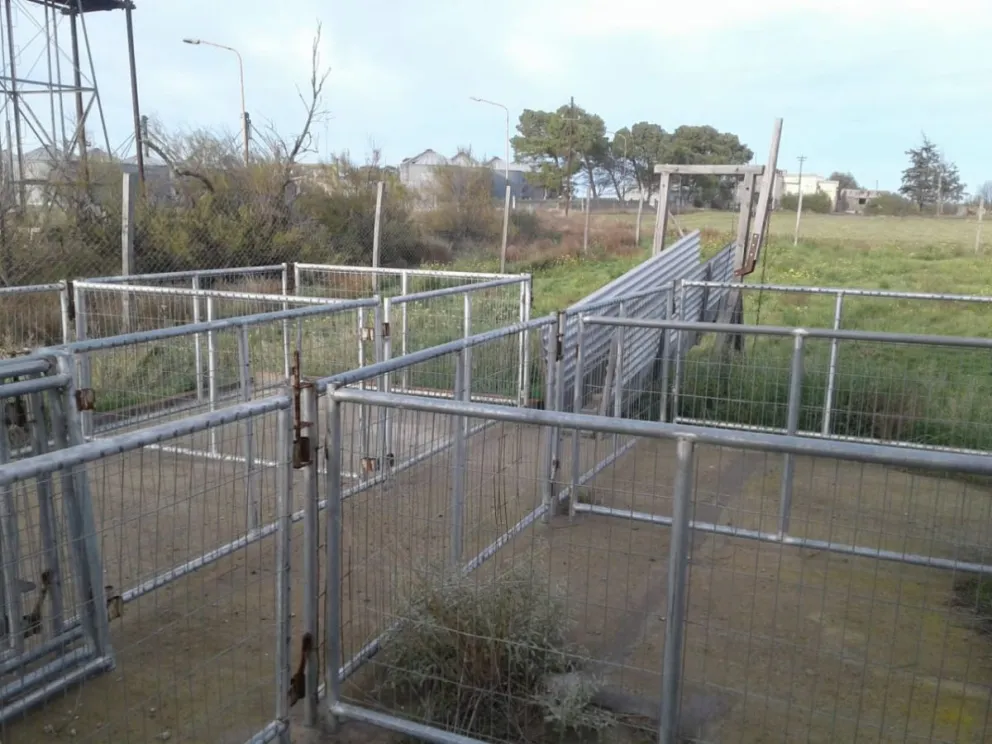 Sólo falta el corte de cintas para que el frigorífico de Cagliero comience a funcionar