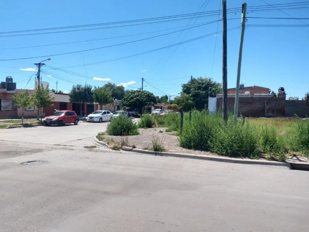 Quejas por un baldío abandonado en Viedma: ya no se puede usar la vereda y andan roedores 