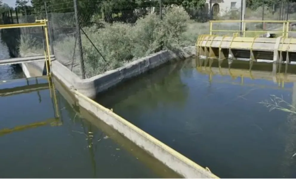 Tragedia: tres jóvenes se tiraron a un canal de riego para bañarse y murieron ahogados 