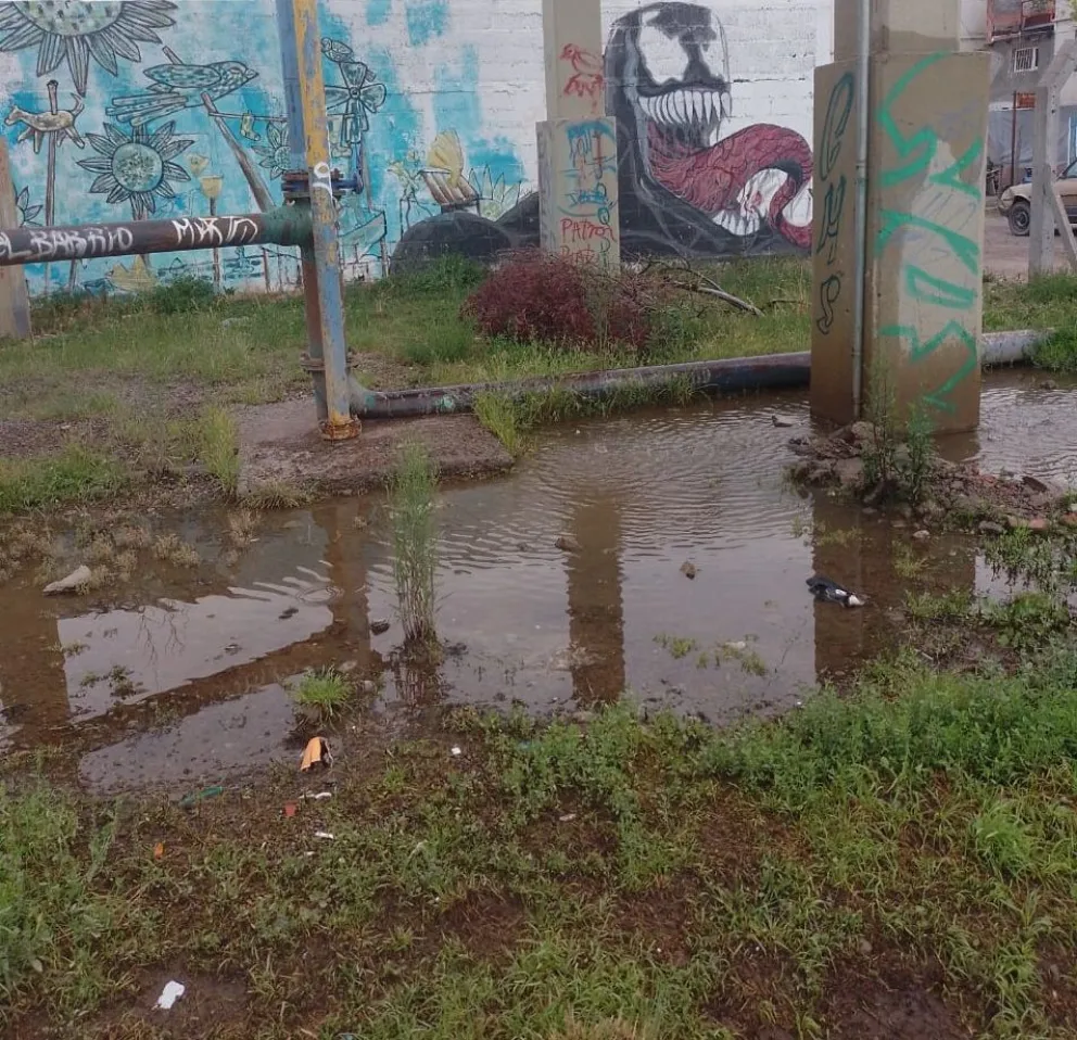 Importante pérdida de agua en las 1016 Viviendas desespera a los vecinos
