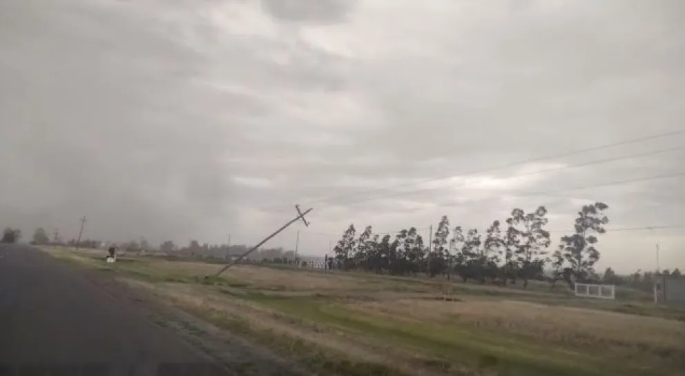 El temporal generó daños en Viedma y alrededores: corte de luz y postes y árboles caídos  
