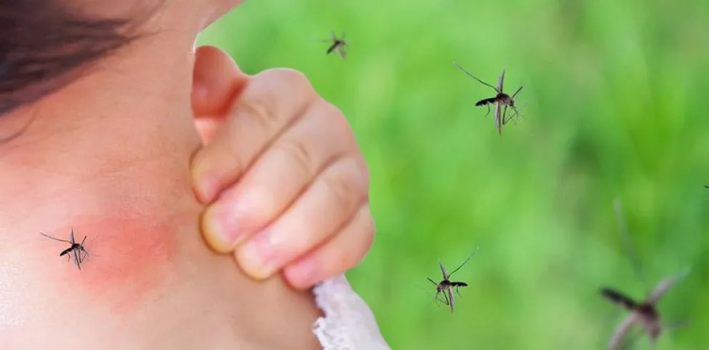 El Ministerio de Salud emitió un alerta por casos de dengue en el país: cuáles son los síntomas