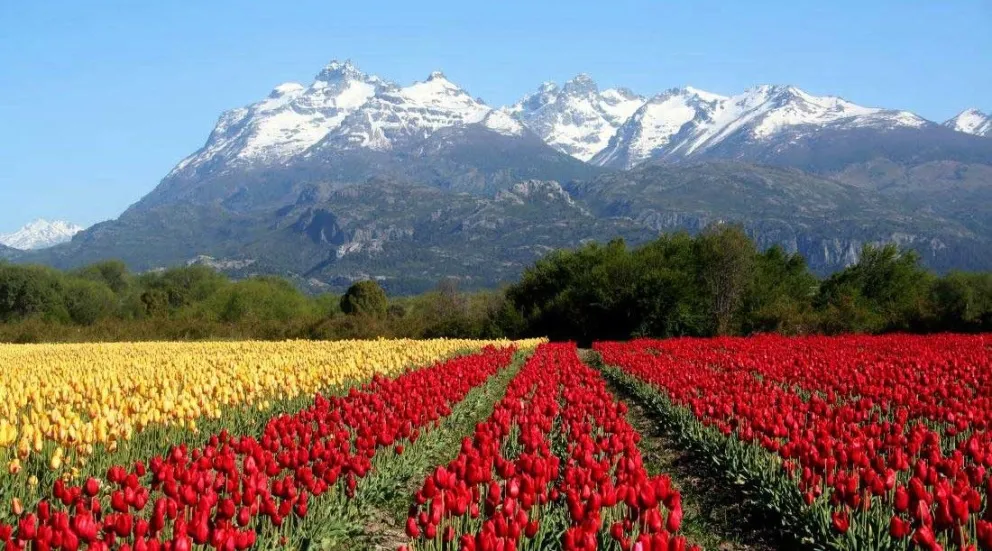Este pueblo de Chubut figura entre los mejores 52 lugares para visitar en el mundo