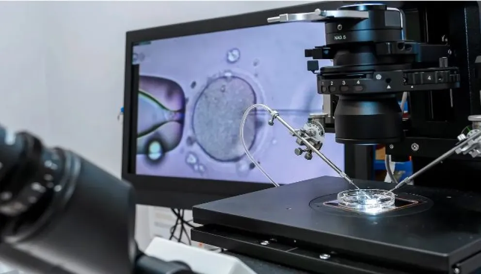 Inédito en Argentina: una pareja tuvo un hijo de un embrión equivocado por un error médico