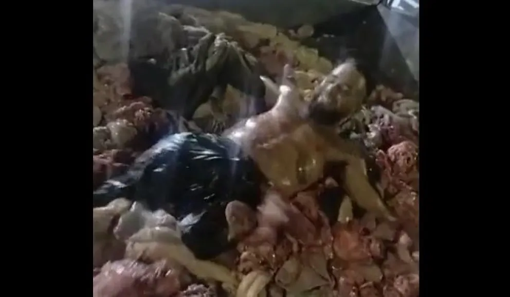 Increíble: se viralizó el video de un supuesto empleado frigorífico nadando en achuras