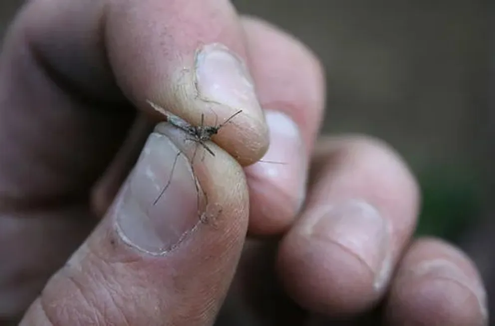 La prevención ante todo. Foto archivo.