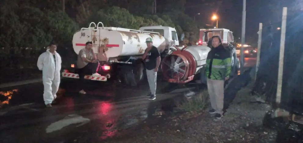 Analizan intensificar el operativo de fumigación en la ciudad  