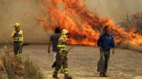 Chile se encuentra en estado de alerta por la ola de incendios forestales en ese país
