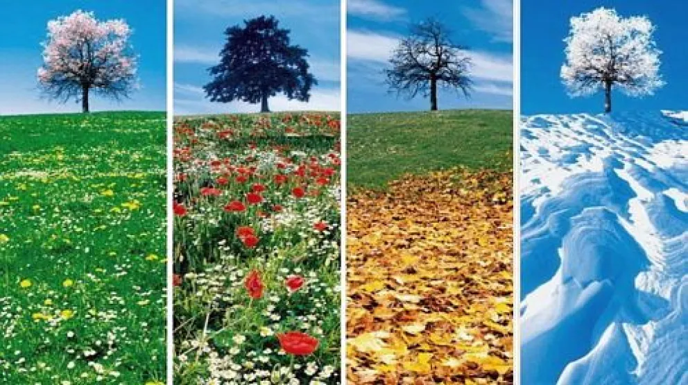 Enterate cuál es la mejor estación para cada signo zodiacal 