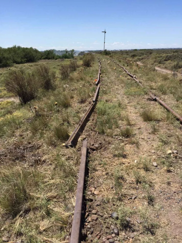 Indignante robo de durmientes de vías que unen la Comarca con Bahía Blanca