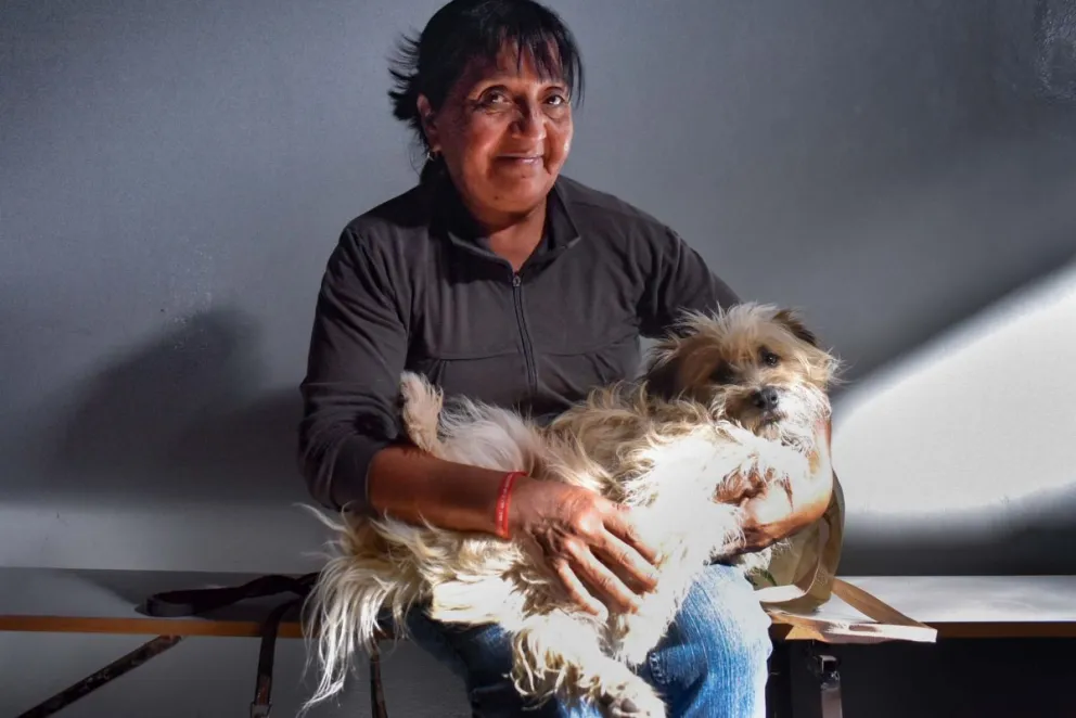 Barrio Santa Clara: castraciones gratuitas de perros y gatos