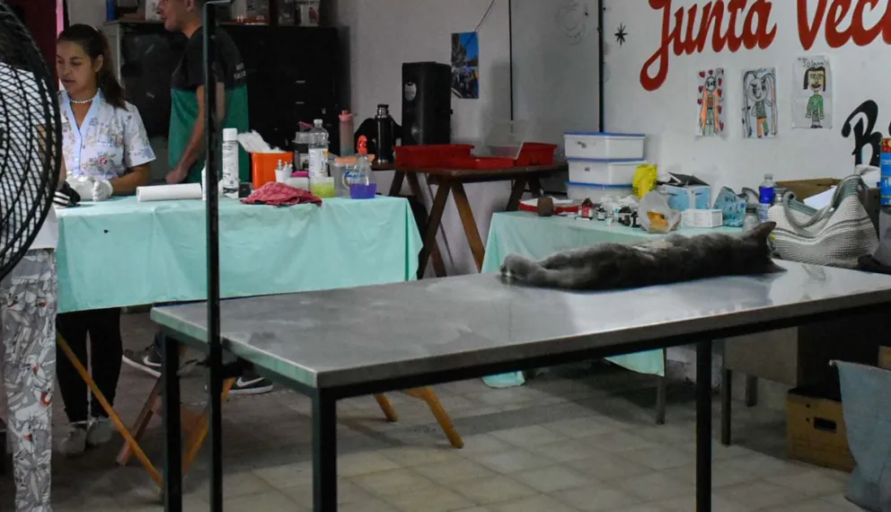 Las castraciones en el Lavalle continúan hasta el 17 de febrero